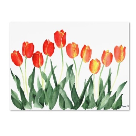 TRADEMARK FINE ART Nicky Kumar 'Tulips' Canvas Art, 14x19 ALI12547-C1419GG